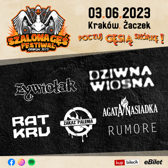 Krakowski Szalona Gęś Festiwal w czerwcu